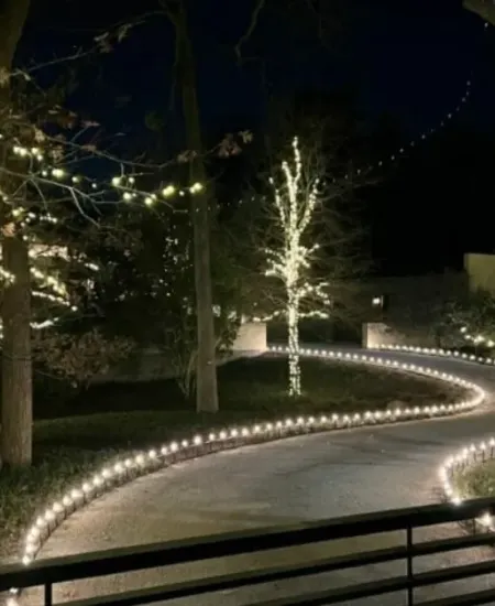 Creating Zones in Your Outdoor Lighting for Better Control