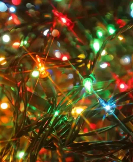 Do Budget Christmas Lights Hold Up Through the Season