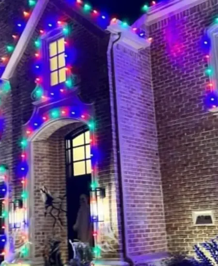 Enhancing Curb Appeal with a Well-Planned Light Display