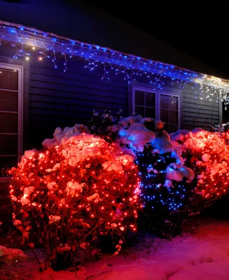 Installing Lights on Bushes and Hedges the Easy Way